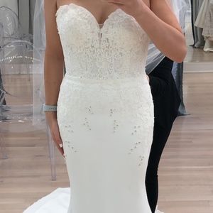 Pronovias Darcy Wedding Dress